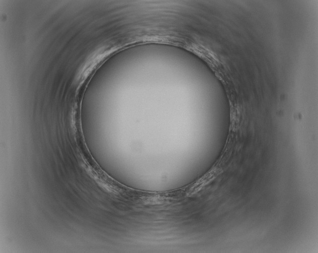 X0000079280098200612081803