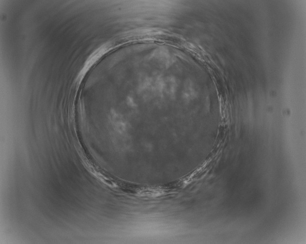 X0000079280099200612081803