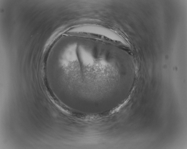 X0000079280101200612081803