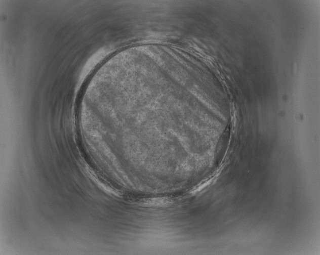X0000079280102200612081803
