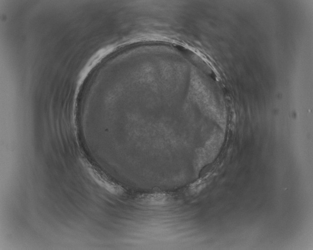 X0000079280104200612081803