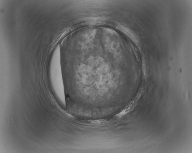 X0000079280105200612081803