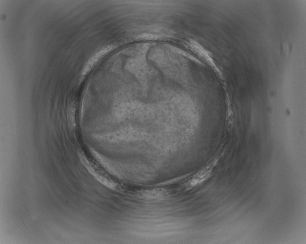 X0000079280106200612081803