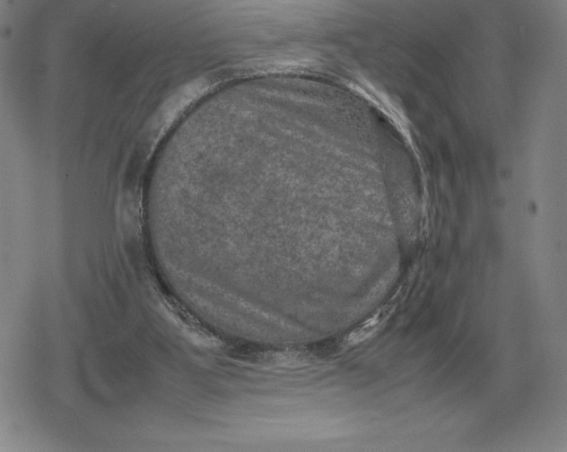 X0000079280107200612081803