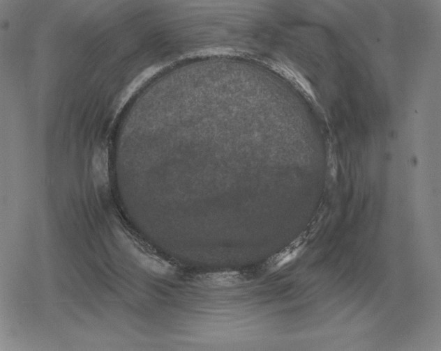 X0000079280108200612081803