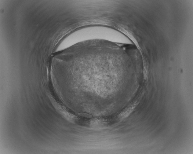 X0000079280109200612081803