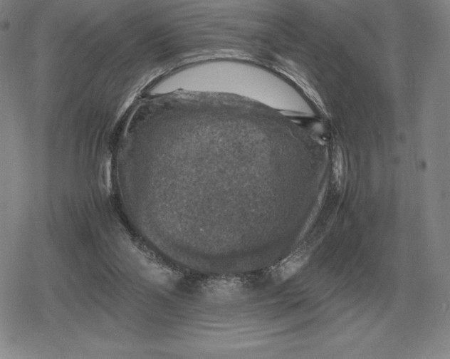 X0000079280110200612081803