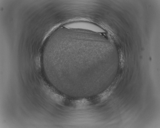 X0000079280112200612081803