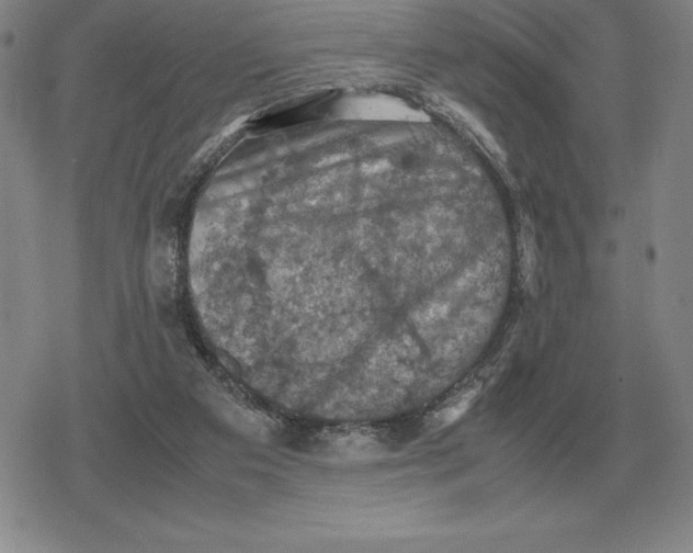 X0000079280113200612081803