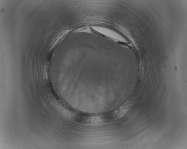 X0000079280114200612081803