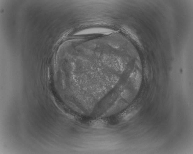 X0000079280115200612081803