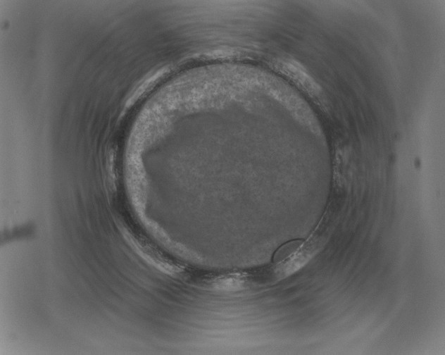 X0000079280116200612081803