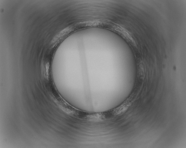 X0000079280118200612081803