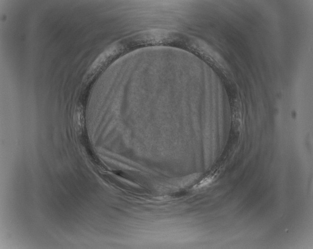 X0000079280119200612081803