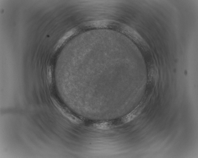 X0000079280120200612081803