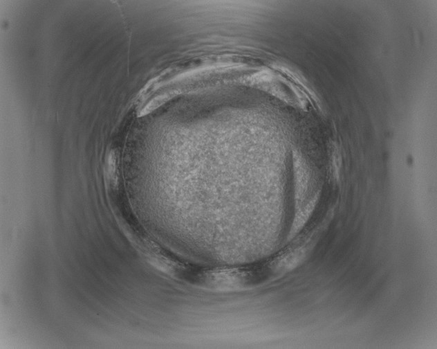 X0000079280121200612081803