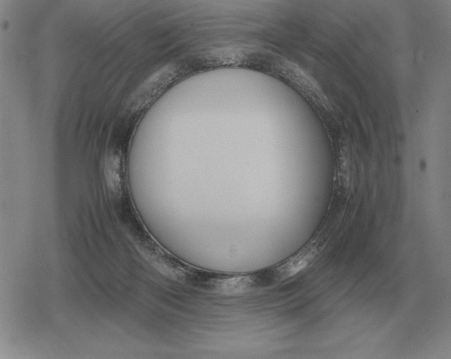 X0000079280122200612081803