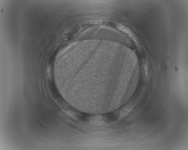 X0000079280123200612081803