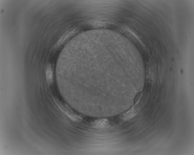 X0000079280124200612081803