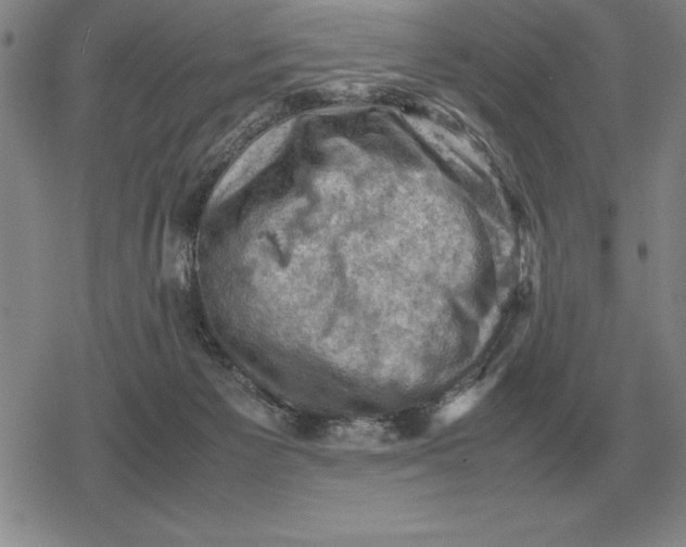 X0000079280125200612081803