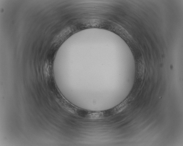 X0000079280126200612081803