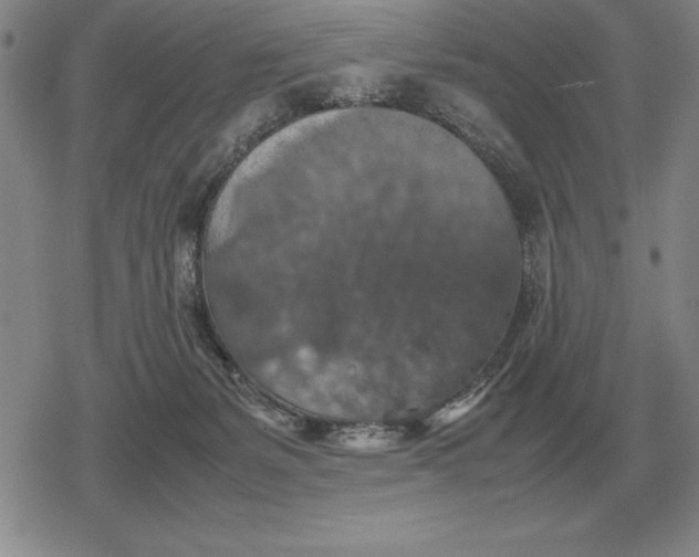 X0000079280127200612081803