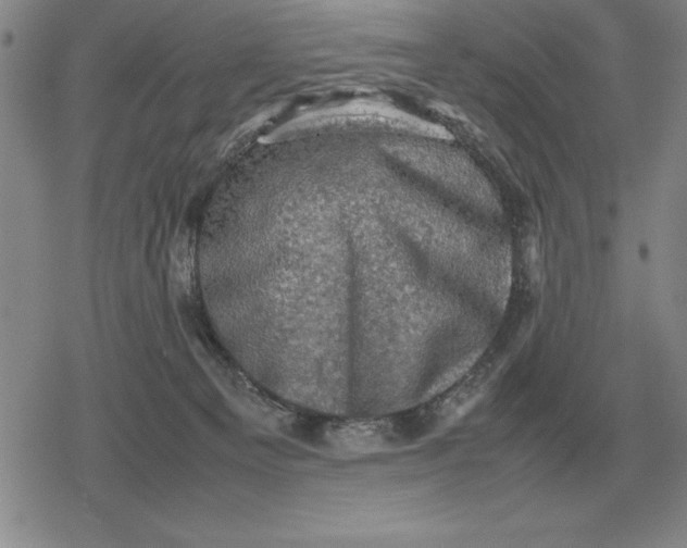 X0000079280129200612081803