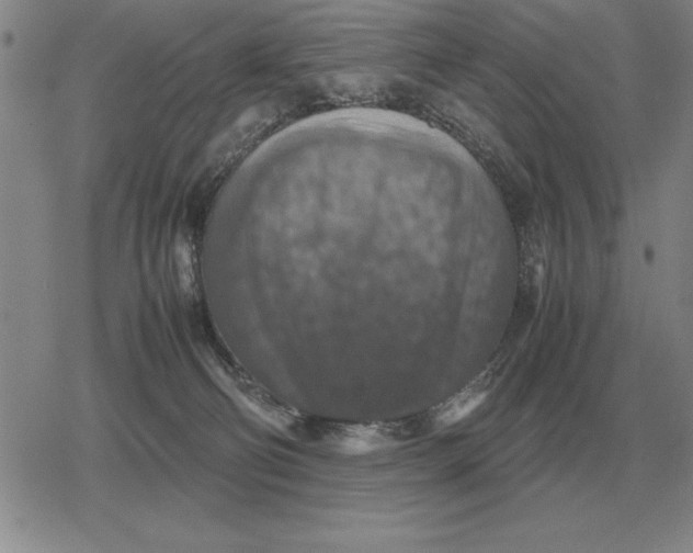 X0000079280130200612081803