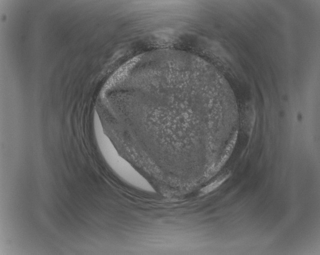 X0000079280131200612081803