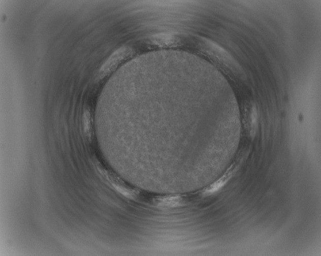 X0000079280132200612081803