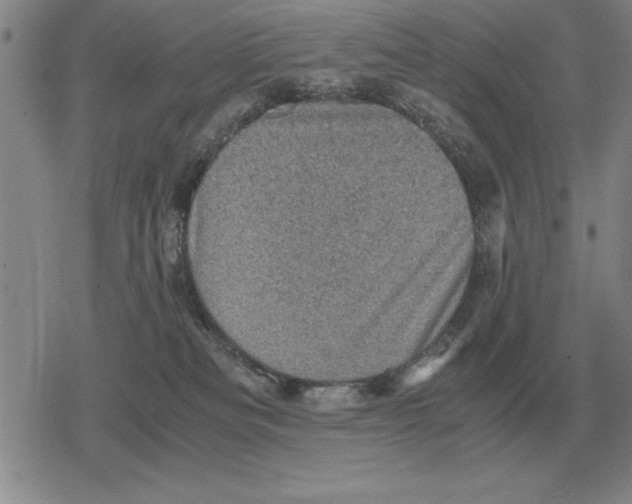 X0000079280133200612081803