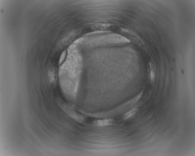 X0000079280134200612081803