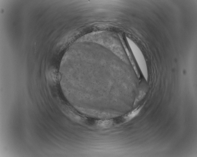 X0000079280135200612081803