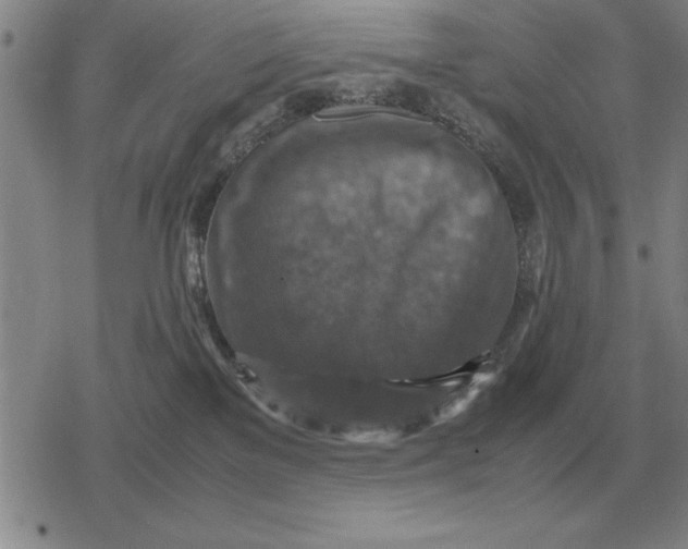 X0000079280137200612081802