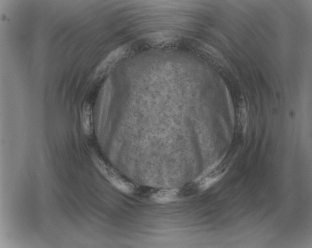 X0000079280138200612081802