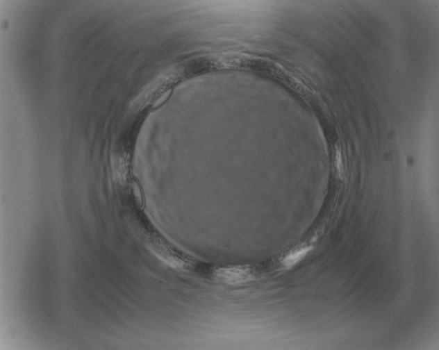 X0000079280139200612081802