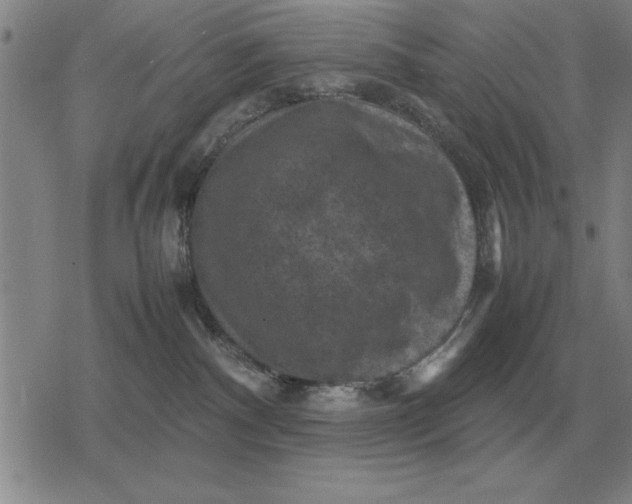 X0000079280140200612081802