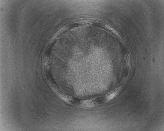 X0000079280141200612081802