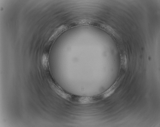 X0000079280142200612081802