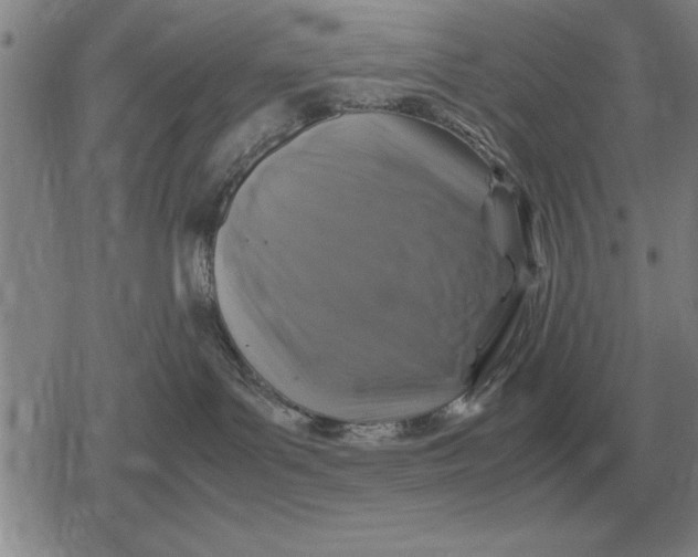 X0000079280143200612081802