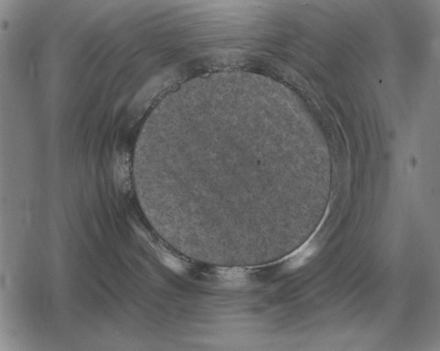 X0000079280144200612081802