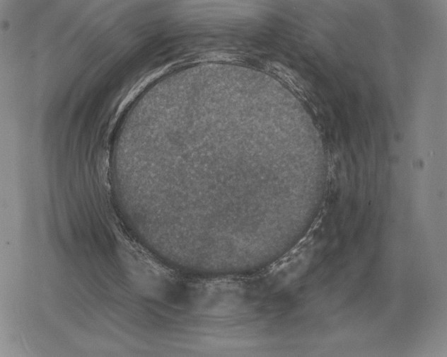 X0000079280146200612081802