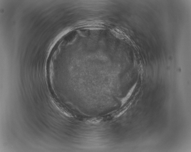 X0000079280148200612081802