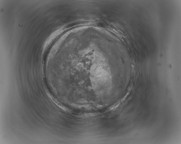 X0000079280149200612081802