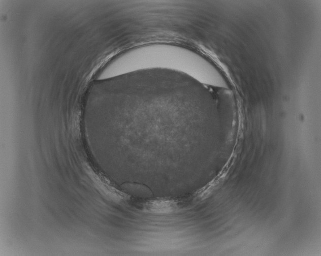 X0000079280154200612081802