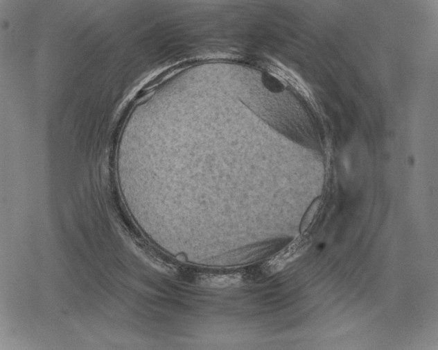 X0000079280155200612081802