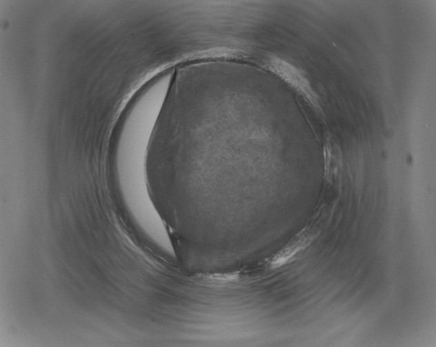 X0000079280156200612081802