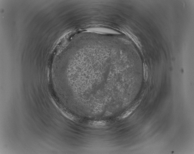 X0000079280157200612081802