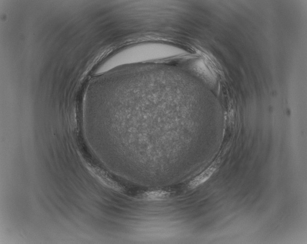 X0000079280158200612081802