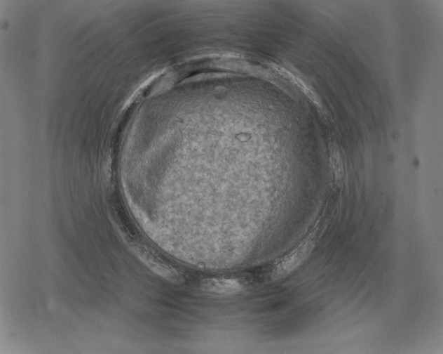 X0000079280159200612081802